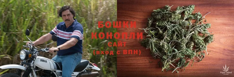 МАРИХУАНА THC 21%  mega ссылка  Звенигород 